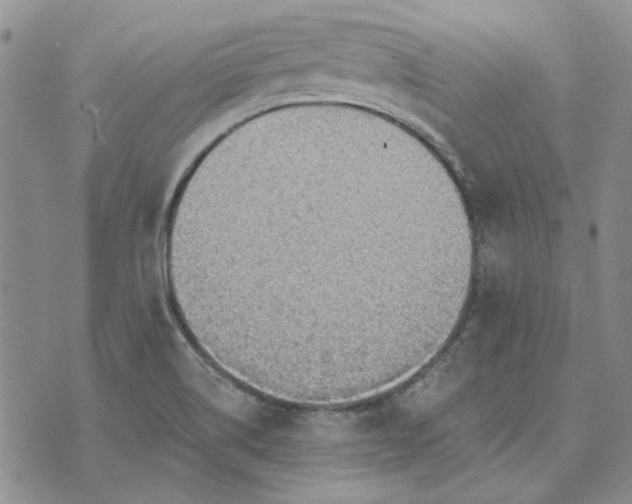 X0000072971514200608041205