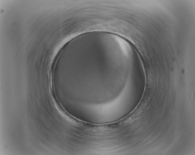 X0000072971515200608041205