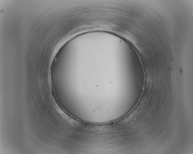 X0000072971516200608041205