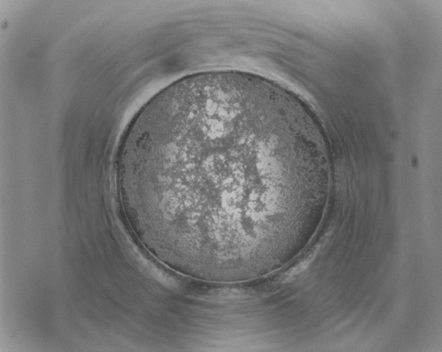 X0000072971517200608041205