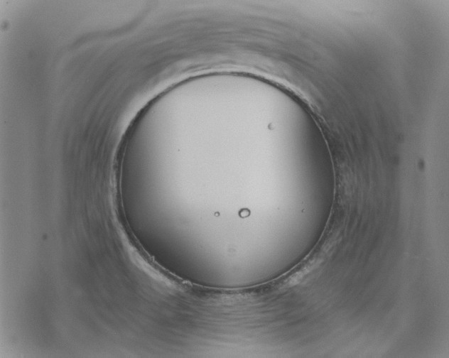 X0000072971518200608041205