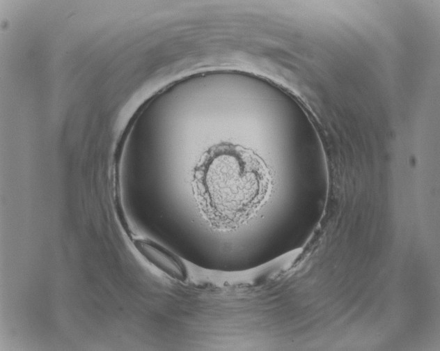 X0000072971519200608041205