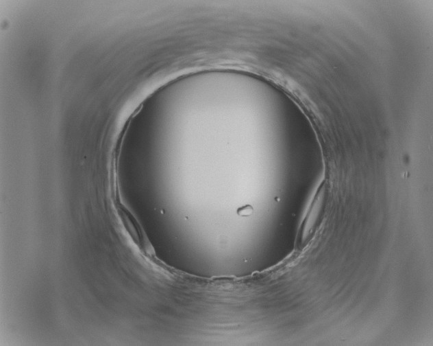 X0000072971520200608041205