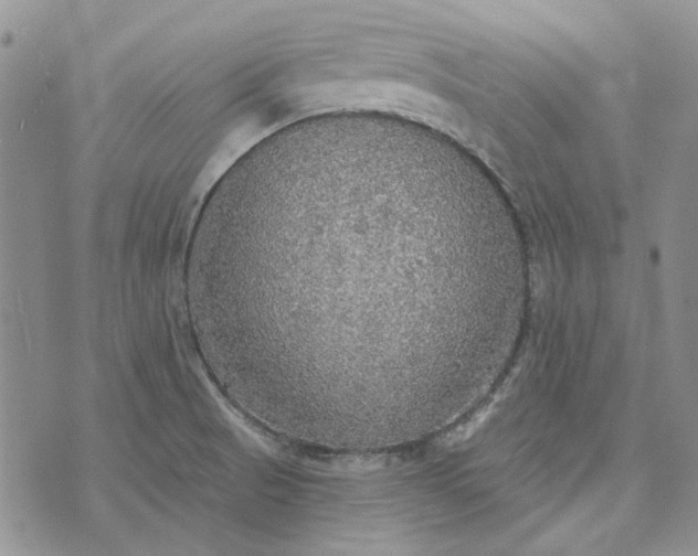 X0000072971521200608041205