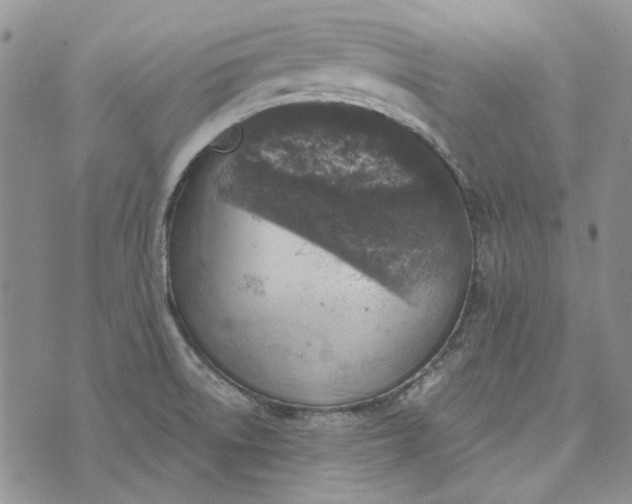 X0000072971522200608041205