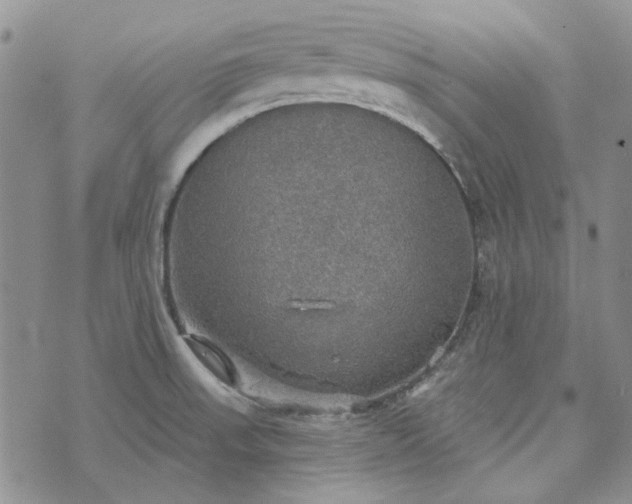 X0000072971523200608041205