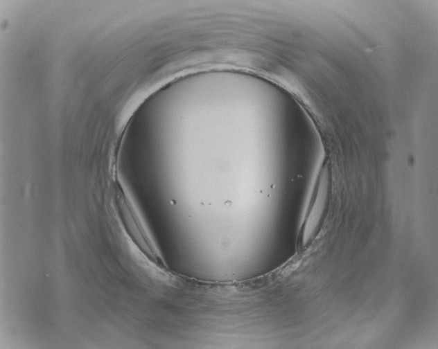 X0000072971524200608041205