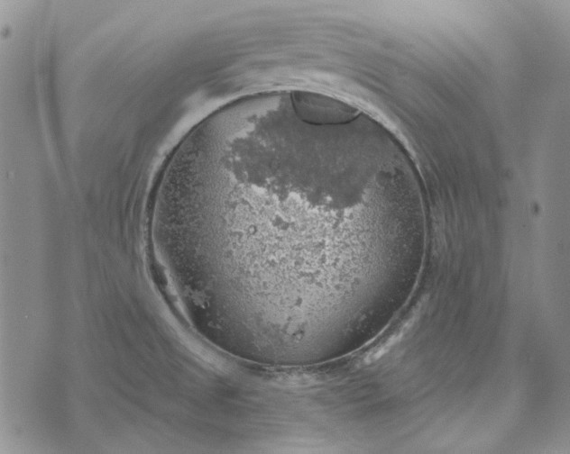 X0000072971525200608041205