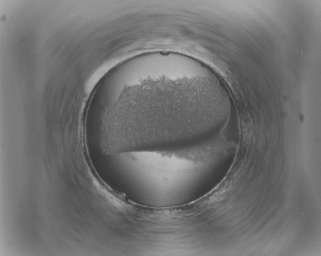 X0000072971527200608041205