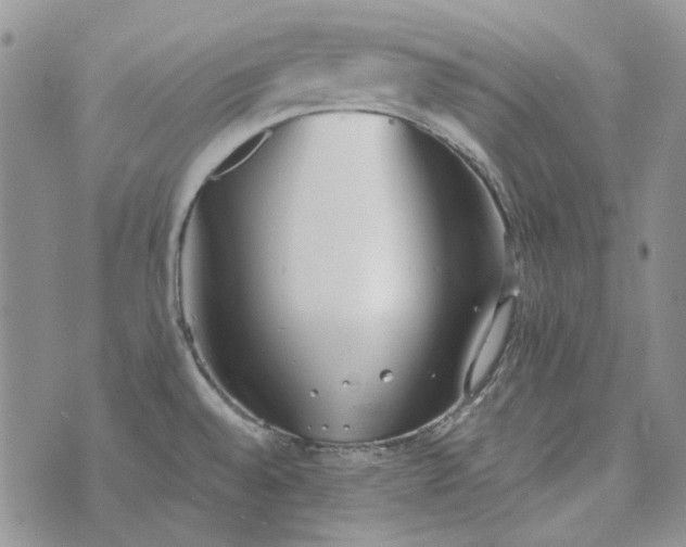 X0000072971528200608041205