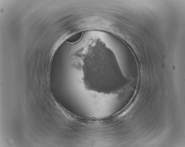 X0000072971529200608041205