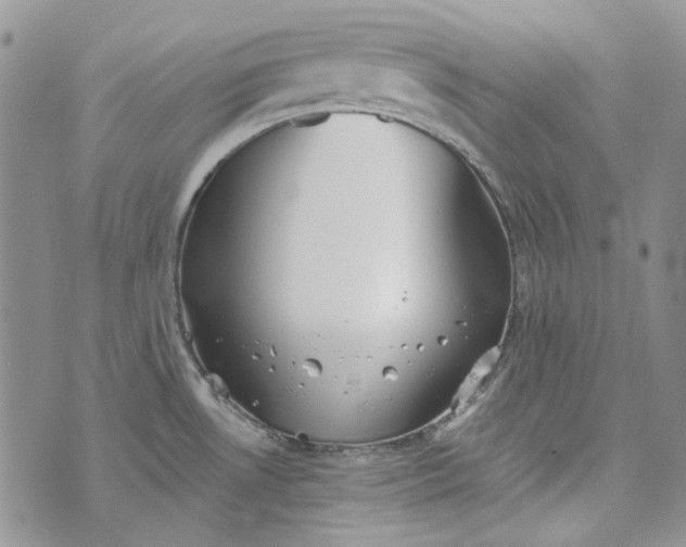 X0000072971530200608041205