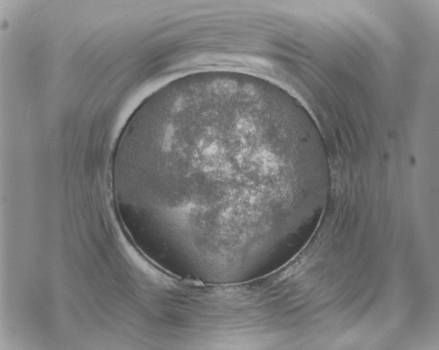 X0000072971531200608041205