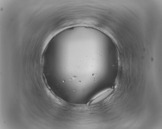 X0000072971532200608041205