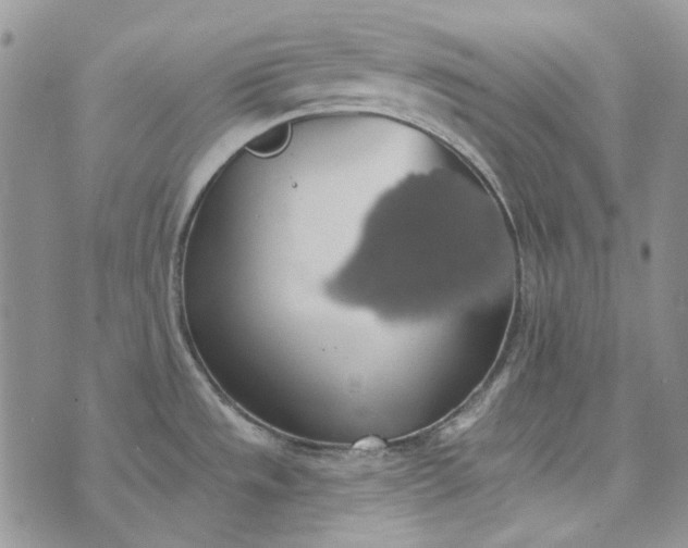 X0000072971533200608041205