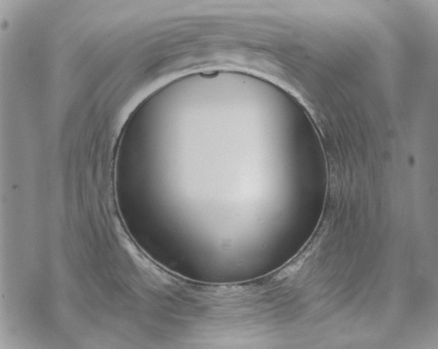 X0000072971534200608041205