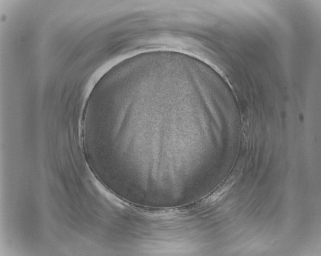 X0000072971535200608041205