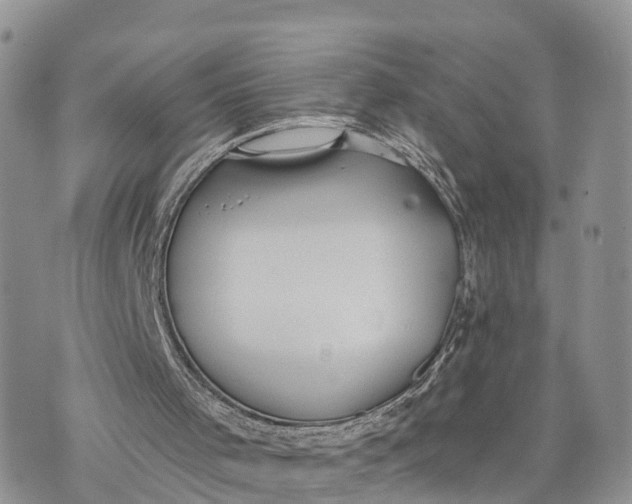 X0000072970001200608111728