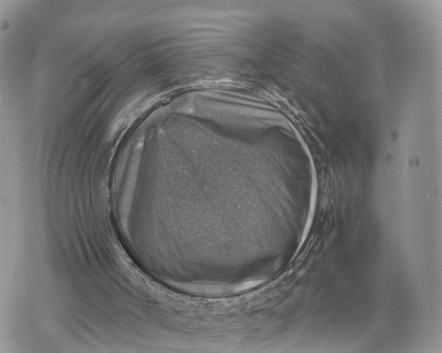 X0000072970002200608111728