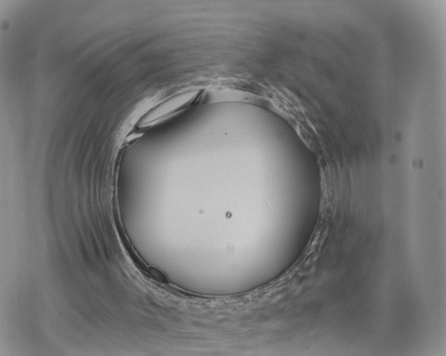 X0000072970003200608111728