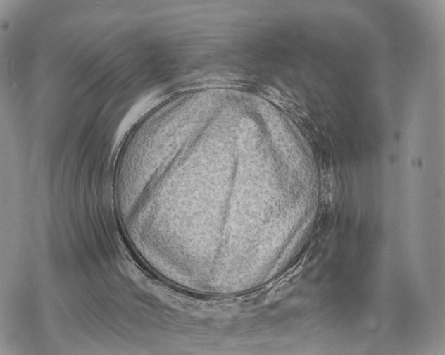 X0000072970004200608111728