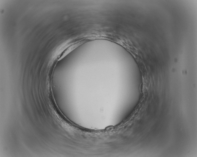 X0000072970005200608111728