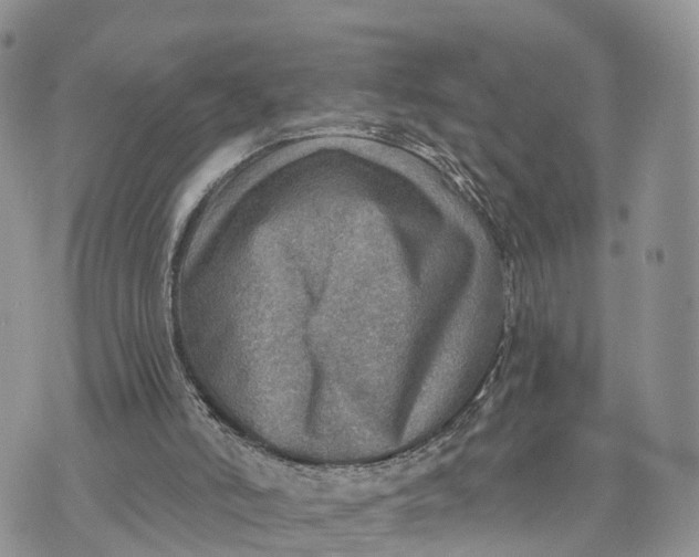 X0000072970006200608111728