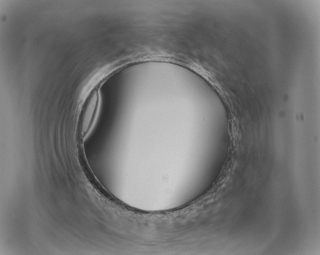 X0000072970007200608111728