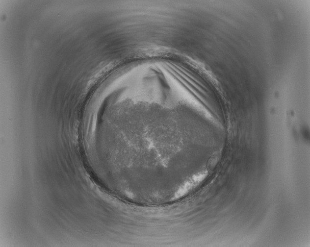 X0000072970010200608111728