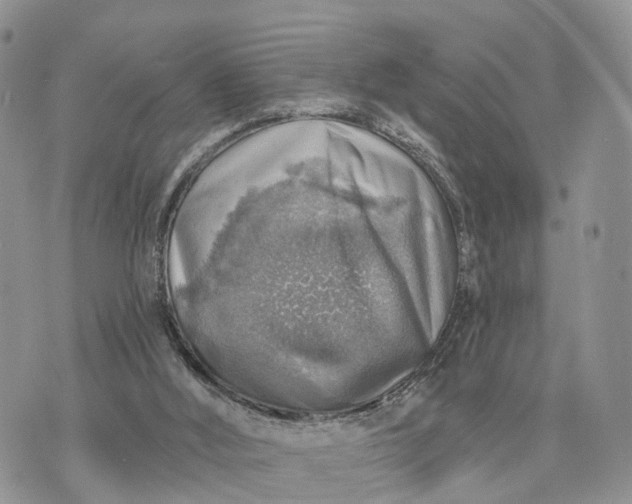 X0000072970012200608111728