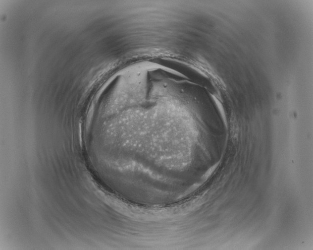 X0000072970014200608111728