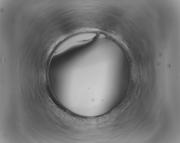 X0000072970015200608111728