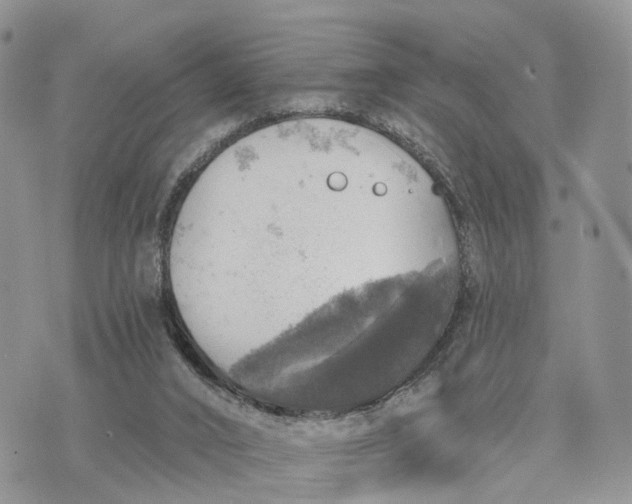 X0000072970016200608111728