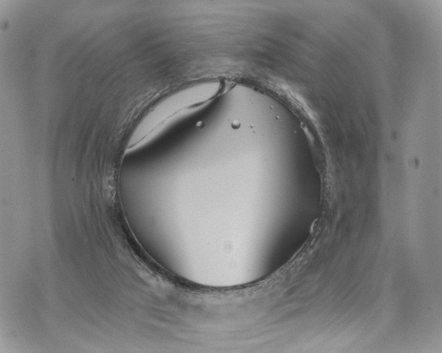 X0000072970017200608111728