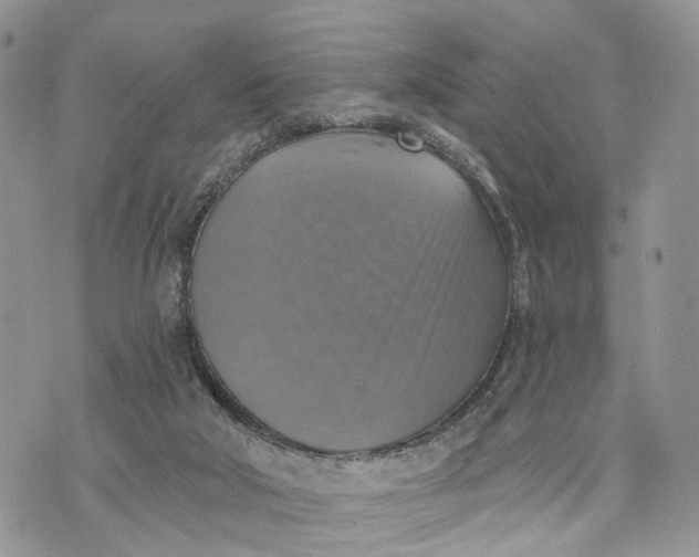 X0000072970018200608111727