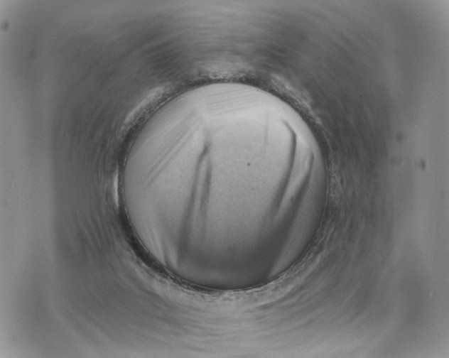 X0000072970019200608111727