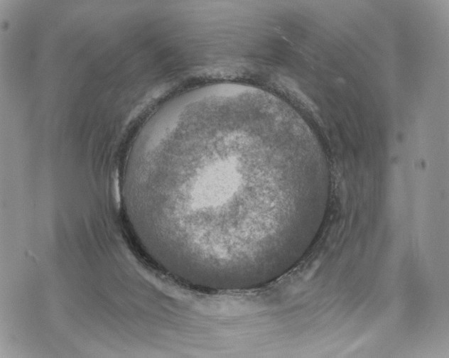 X0000072970020200608111727