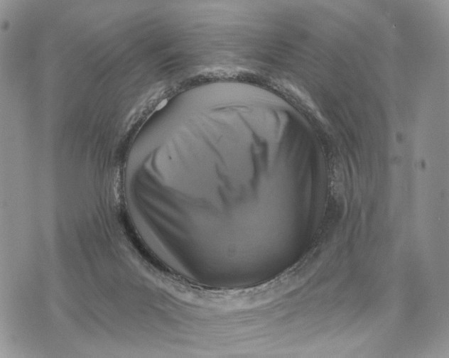 X0000072970023200608111727