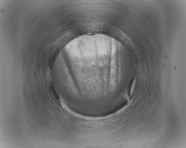 X0000072970029200608111727