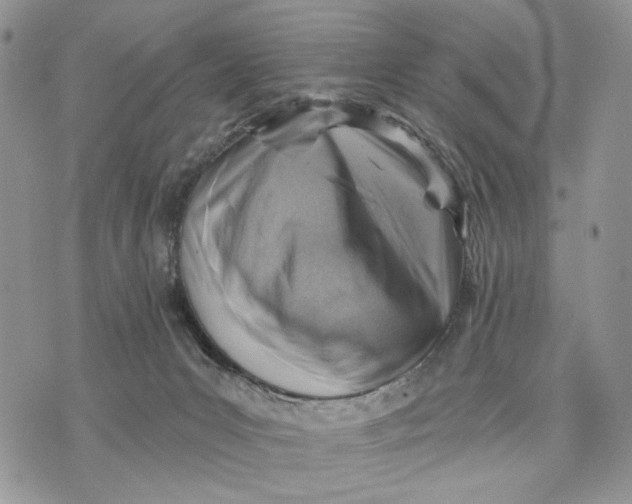 X0000072970031200608111727