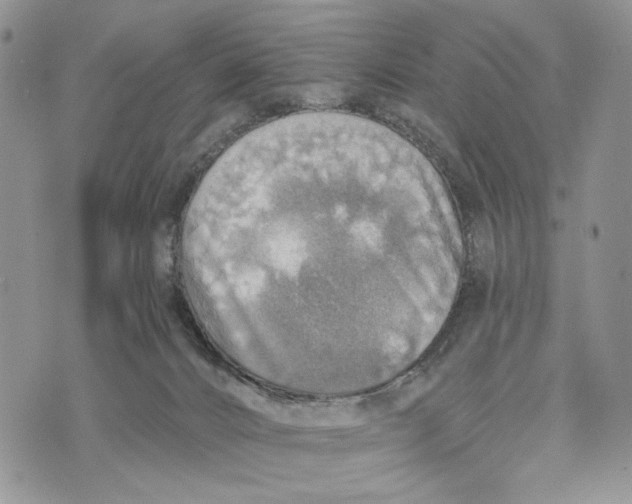 X0000072970032200608111727