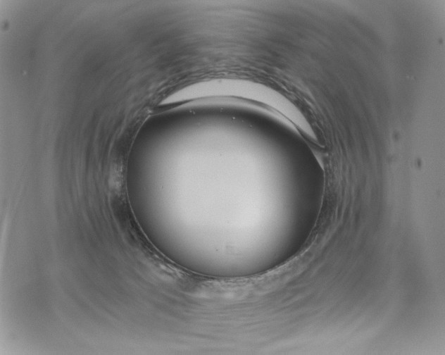 X0000072970033200608111727