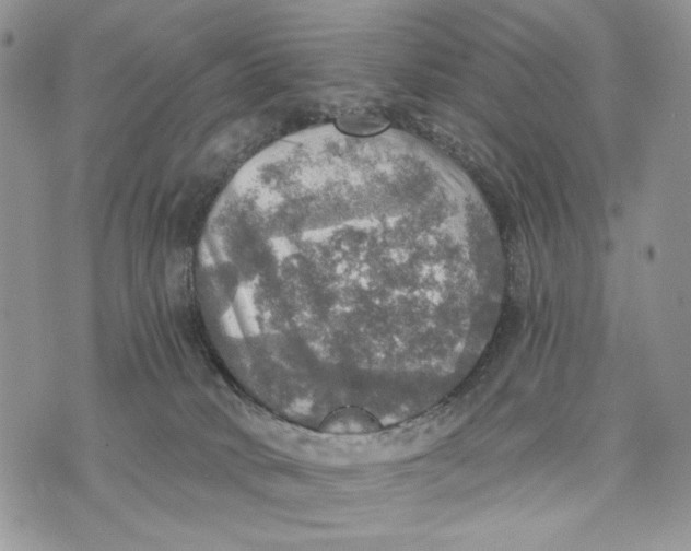 X0000072970034200608111727