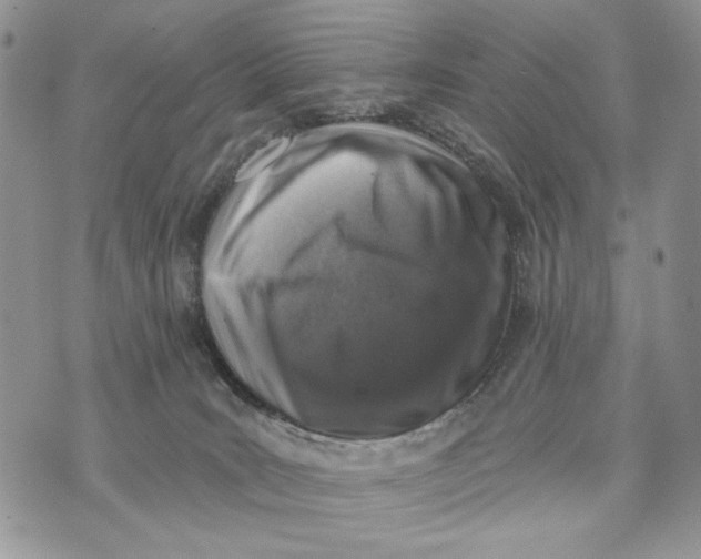 X0000072970035200608111727