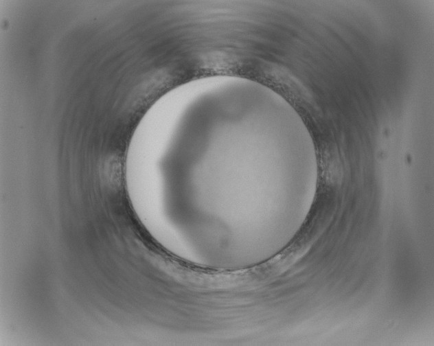 X0000072970036200608111727