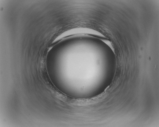 X0000072970037200608111727