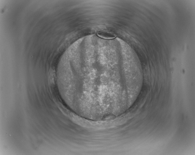 X0000072970038200608111727