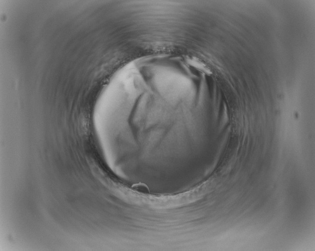 X0000072970039200608111727