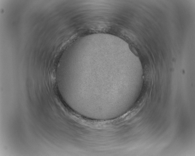 X0000072970040200608111727