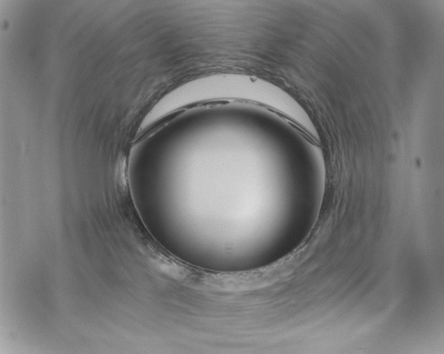 X0000072970041200608111727